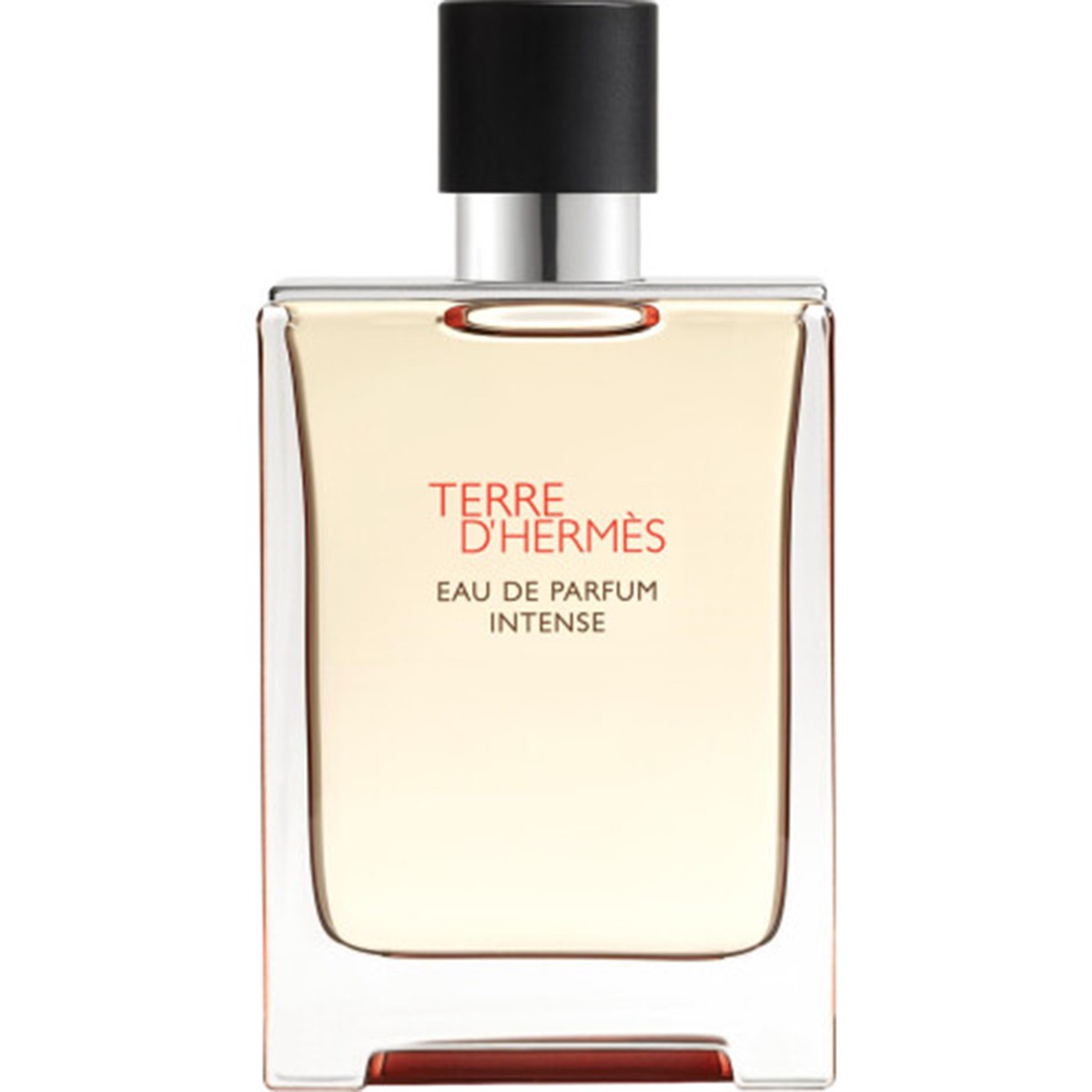 Hermes Terre D'hermes Intense Eau de Parfum for Men